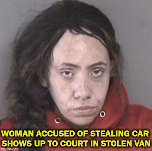 They Drive Among Us, Especially in CALIFORNIA! | WOMAN ACCUSED OF STEALING CAR 
SHOWS UP TO COURT IN STOLEN VAN | image tagged in fun,funny stuff,smort,lol,wtf,here's your sign | made w/ Imgflip meme maker
