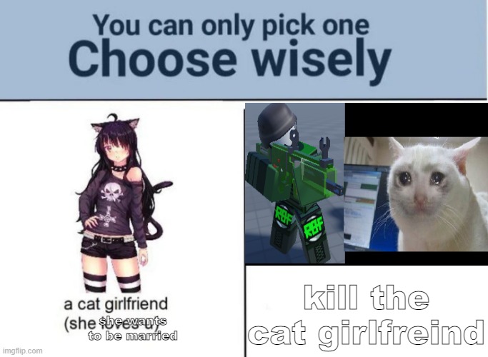 cat gf or kill cat gf | kill the cat girlfreind; she wants to be married | image tagged in choose wisely | made w/ Imgflip meme maker
