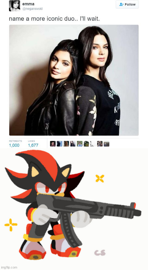 Shadow and his gun OTP. | image tagged in name a more iconic duo,shadow the hedgehog,gun,oh wow are you actually reading these tags | made w/ Imgflip meme maker