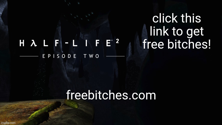 i wonder if that's an actual site | click this link to get free bitches! freebitches.com | image tagged in h lf-life 2 ep2 | made w/ Imgflip meme maker