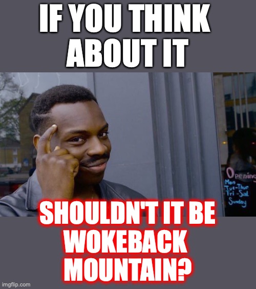 Roll Safe Think About It Meme | IF YOU THINK 
ABOUT IT SHOULDN'T IT BE
WOKEBACK 
MOUNTAIN? | image tagged in memes,roll safe think about it | made w/ Imgflip meme maker