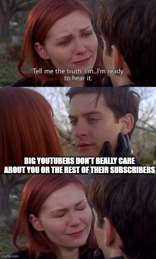 YouTubers, they don't care | BIG YOUTUBERS DON'T REALLY CARE ABOUT YOU OR THE REST OF THEIR SUBSCRIBERS | image tagged in tell me the truth i'm ready to hear it,youtube,youtubers,subscribe,don't care,you suck | made w/ Imgflip meme maker