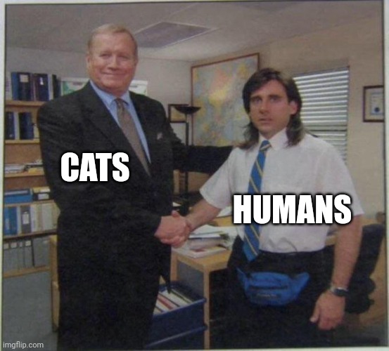 Animal kingdom | CATS; HUMANS | image tagged in the office handshake | made w/ Imgflip meme maker