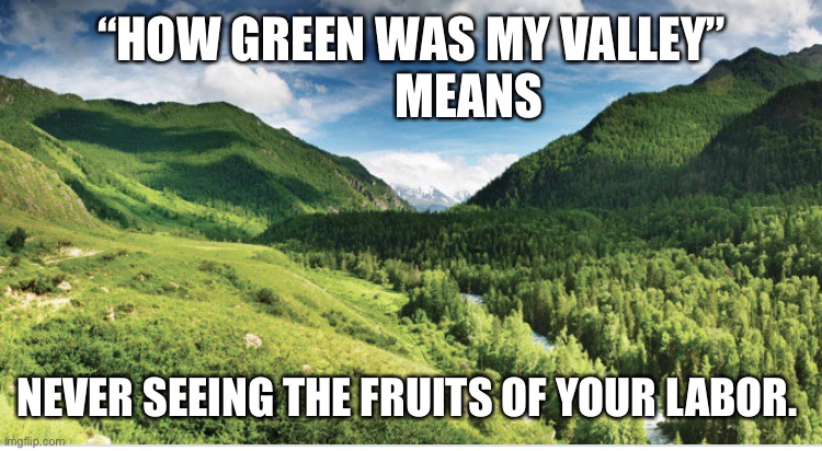 Green valley | “HOW GREEN WAS MY VALLEY”
            MEANS; NEVER SEEING THE FRUITS OF YOUR LABOR. | image tagged in green valley | made w/ Imgflip meme maker