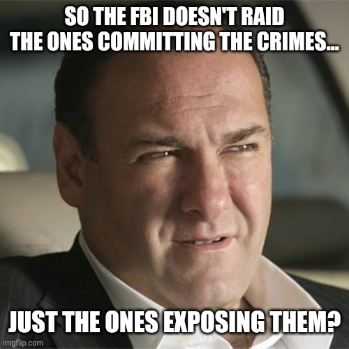 No justice left in America. | SO THE FBI DOESN'T RAID THE ONES COMMITTING THE CRIMES... JUST THE ONES EXPOSING THEM? | image tagged in memes | made w/ Imgflip meme maker