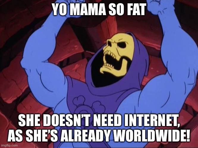 Yo mama | YO MAMA SO FAT; SHE DOESN’T NEED INTERNET, AS SHE’S ALREADY WORLDWIDE! | image tagged in skeletor | made w/ Imgflip meme maker
