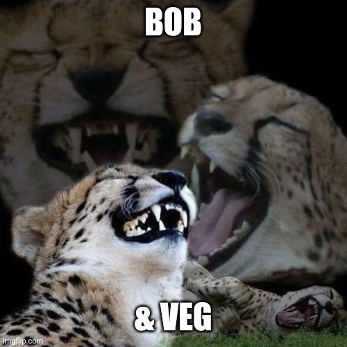 Laughing | BOB; & VEG | image tagged in laughing | made w/ Imgflip meme maker