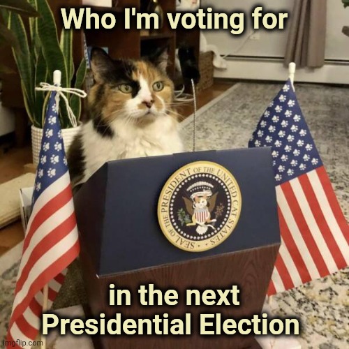 Looks harmless | Who I'm voting for; in the next Presidential Election | image tagged in presidential alert,cat at table,say something smart kowalski | made w/ Imgflip meme maker