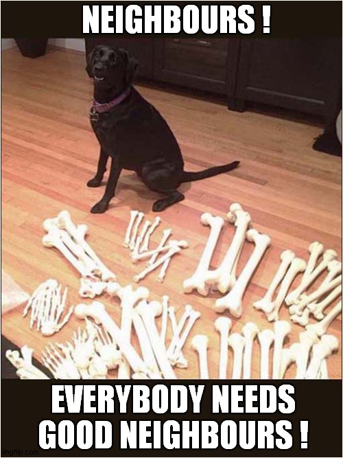 They're Just So Moreish ! | NEIGHBOURS ! EVERYBODY NEEDS
GOOD NEIGHBOURS ! | image tagged in dogs,neighbors,bones | made w/ Imgflip meme maker