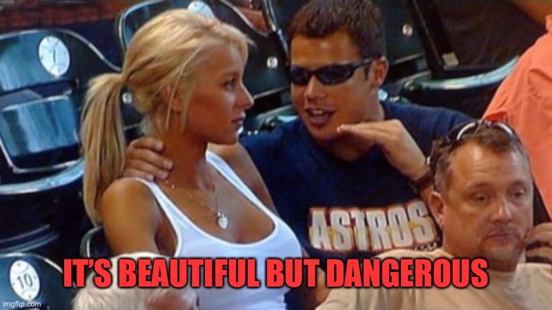 Bro explaining | IT’S BEAUTIFUL BUT DANGEROUS | image tagged in bro explaining | made w/ Imgflip meme maker