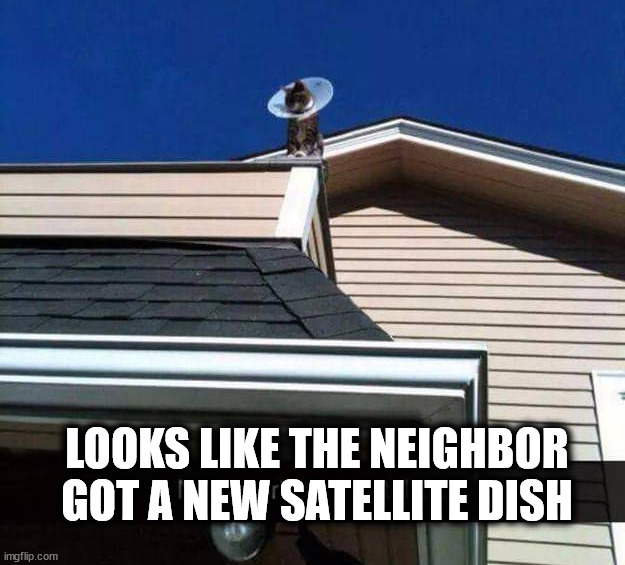  LOOKS LIKE THE NEIGHBOR GOT A NEW SATELLITE DISH | image tagged in cats | made w/ Imgflip meme maker