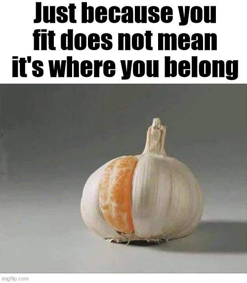 Just because you fit does not mean it's where you belong | image tagged in depression | made w/ Imgflip meme maker