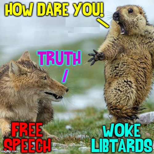Will You Allow the Loudmouths to Win? | HOW DARE YOU! \; TRUTH; /; FREE SPEECH; WOKE
LIBTARDS | image tagged in vince vance,outraged,stupid liberals,hate,free speech,the truth | made w/ Imgflip meme maker