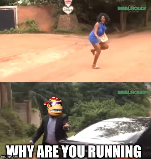 Why are you running | WHY ARE YOU RUNNING | image tagged in why are you running | made w/ Imgflip meme maker