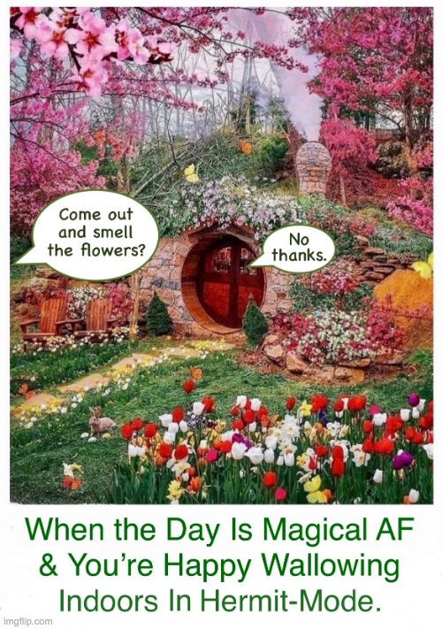 Come Out and Smell The Flowers No Thanks meme | image tagged in come out and smell the flowers no thanks meme | made w/ Imgflip meme maker