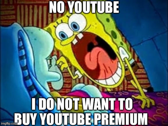 Youtube be like | NO YOUTUBE; I DO NOT WANT TO BUY YOUTUBE PREMIUM | image tagged in spongebob yelling | made w/ Imgflip meme maker