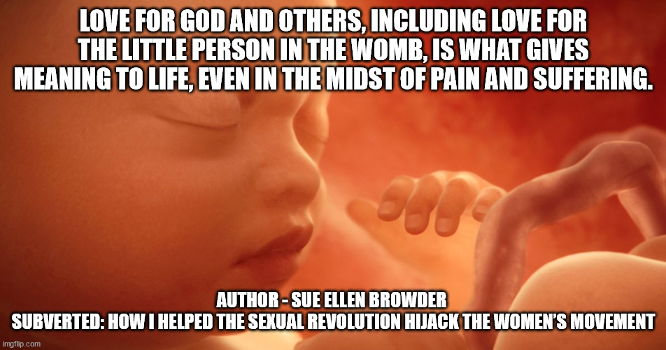 Love Life | LOVE FOR GOD AND OTHERS, INCLUDING LOVE FOR THE LITTLE PERSON IN THE WOMB, IS WHAT GIVES MEANING TO LIFE, EVEN IN THE MIDST OF PAIN AND SUFFERING. AUTHOR - SUE ELLEN BROWDER 
SUBVERTED: HOW I HELPED THE SEXUAL REVOLUTION HIJACK THE WOMEN’S MOVEMENT | image tagged in cherish life,choose life,love life | made w/ Imgflip meme maker