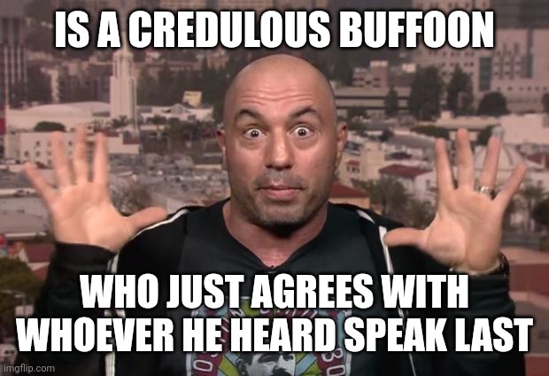 And His Fans Are Even More Gullible And Lacking In Critical Thinking Skills | IS A CREDULOUS BUFFOON; WHO JUST AGREES WITH WHOEVER HE HEARD SPEAK LAST | image tagged in joe rogan,gullible,ignorant,dumb baldo,baldness,bro | made w/ Imgflip meme maker