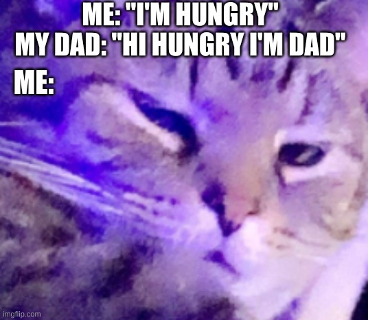 [insert amazing title] | ME: "I'M HUNGRY"
MY DAD: "HI HUNGRY I'M DAD"; ME: | image tagged in cat glare | made w/ Imgflip meme maker