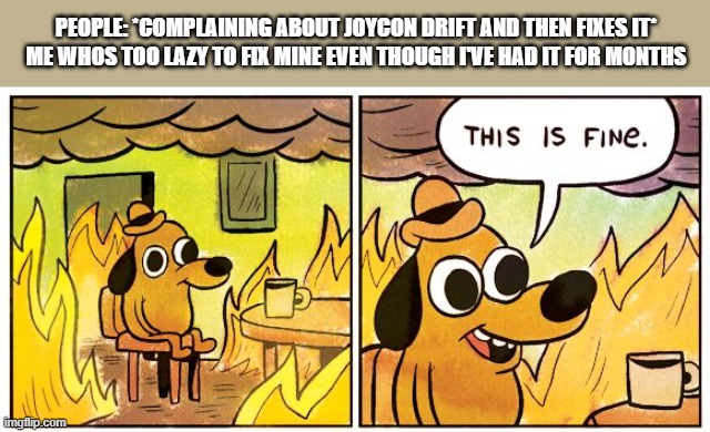 This Is Fine | PEOPLE: *COMPLAINING ABOUT JOYCON DRIFT AND THEN FIXES IT*
ME WHOS TOO LAZY TO FIX MINE EVEN THOUGH I'VE HAD IT FOR MONTHS | image tagged in memes,this is fine | made w/ Imgflip meme maker