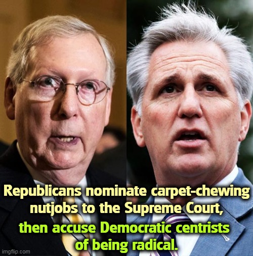 Republicans nominate carpet-chewing nutjobs to the Supreme Court, then accuse Democratic centrists 
of being radical. | image tagged in republican,nuts,supreme court,democrat,smart | made w/ Imgflip meme maker