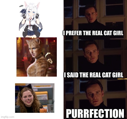 perfection | I PREFER THE REAL CAT GIRL; I SAID THE REAL CAT GIRL; PURRFECTION | image tagged in perfection,the office,catgirls | made w/ Imgflip meme maker