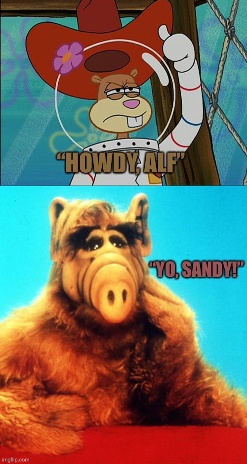 ALF Meme 5: Sandy | “HOWDY, ALF”; “YO, SANDY!” | image tagged in sandy cheeks,alf the alien | made w/ Imgflip meme maker