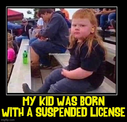 The Luck of the Draw |  MY KID WAS BORN WITH A SUSPENDED LICENSE | image tagged in vince vance,redheads,suspended,drivers license,mullet,memes | made w/ Imgflip meme maker