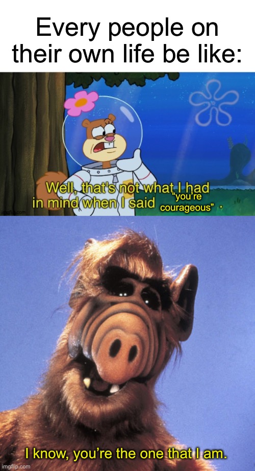 Sandy Meme (Ft. ALF) |  Every people on their own life be like:; “you’re courageous”; I know, you’re the one that I am. | image tagged in not what sandy had in mind,alf | made w/ Imgflip meme maker