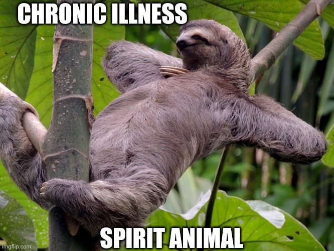 The Spirit Animal | CHRONIC ILLNESS; SPIRIT ANIMAL | image tagged in lazy sloth | made w/ Imgflip meme maker