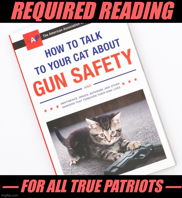 Patriotism means protecting the ones we love, no matter how small. #SelfDefenseTips #StartThemYoung #StartThemEarly |  REQUIRED READING; — FOR ALL TRUE PATRIOTS — | image tagged in how to talk to your cat about gun safety,self defense,gun safety,cats,patriotism,guns | made w/ Imgflip meme maker
