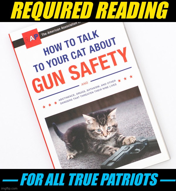Patriotism means protecting the ones we love, no matter how small. #SelfDefenseTips #StartThemYoung #StartThemEarly | REQUIRED READING; — FOR ALL TRUE PATRIOTS — | image tagged in how to talk to your cat about gun safety,cats,gun safety,guns,self defense,patriots | made w/ Imgflip meme maker