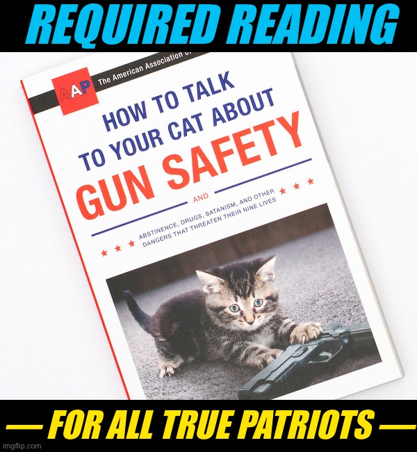 Patriotism means protecting the ones we love, no matter how small. #SelfDefenseTips #StartThemYoung #StartThemEarly | REQUIRED READING; — FOR ALL TRUE PATRIOTS — | image tagged in how to talk to your cat about gun safety,gun safety,guns,cats,patriotism,self defense | made w/ Imgflip meme maker