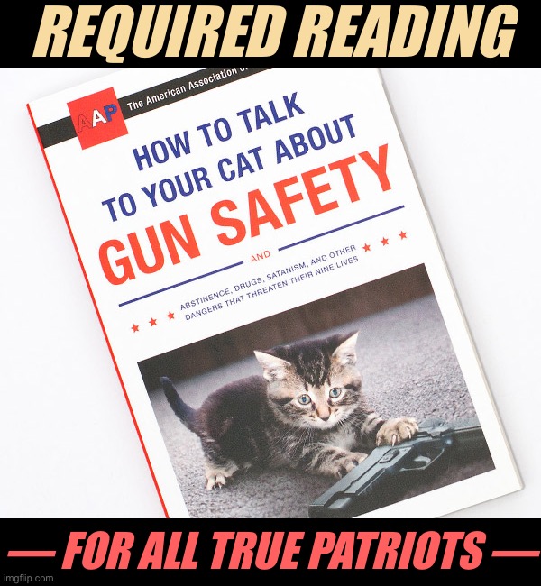 Patriotism means protecting the ones we love, no matter how small. #SelfDefenseTips #StartThemYoung #StartThemEarly | REQUIRED READING; — FOR ALL TRUE PATRIOTS — | image tagged in how to talk to your cat about gun safety,gun safety,cats,guns,self defense,patriots | made w/ Imgflip meme maker