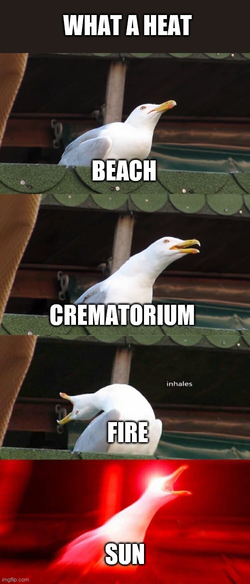 inhaling seagull 4 red | WHAT A HEAT; BEACH; CREMATORIUM; FIRE; SUN | image tagged in inhaling seagull 4 red | made w/ Imgflip meme maker