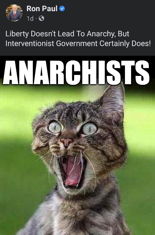 Ron Paul: Liberty vs Anarchy? | ANARCHISTS | image tagged in shocked cat,anarchy,liberty,libertarians,government corruption,war | made w/ Imgflip meme maker