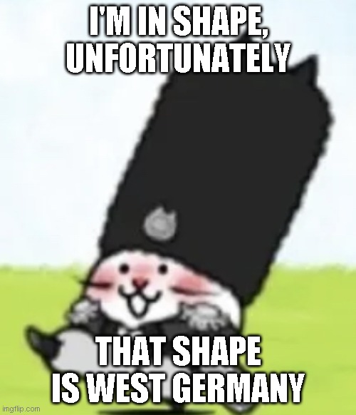 pain | I'M IN SHAPE, UNFORTUNATELY; THAT SHAPE IS WEST GERMANY | image tagged in vodka cat | made w/ Imgflip meme maker