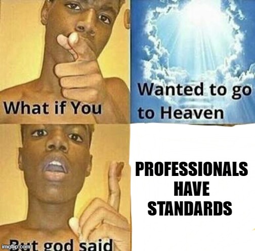 comment if you understand the refrence! |  PROFESSIONALS HAVE STANDARDS | image tagged in what if you wanted to go to heaven,tf2 | made w/ Imgflip meme maker