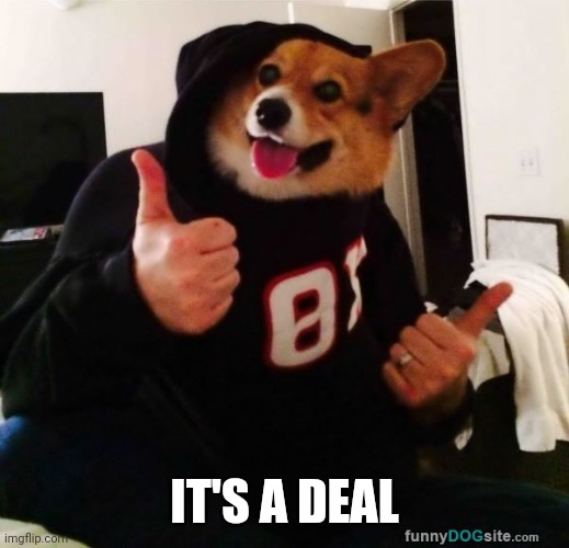 Thumbs up dog | IT'S A DEAL | image tagged in thumbs up dog | made w/ Imgflip meme maker