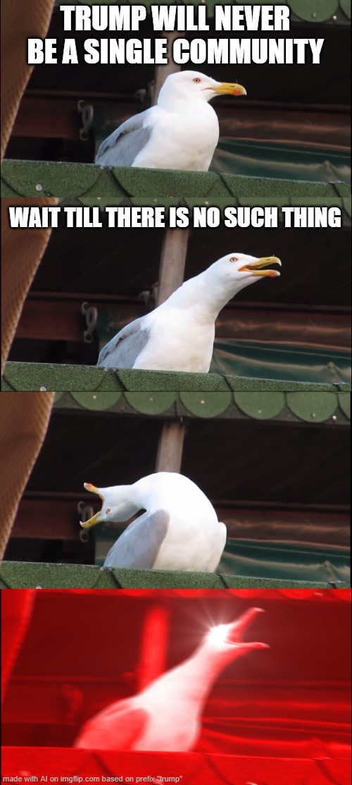 Inhaling Seagull | TRUMP WILL NEVER BE A SINGLE COMMUNITY; WAIT TILL THERE IS NO SUCH THING | image tagged in memes,inhaling seagull | made w/ Imgflip meme maker