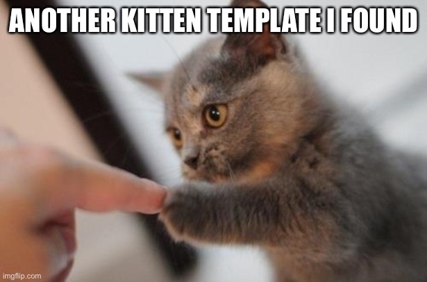 :3 | ANOTHER KITTEN TEMPLATE I FOUND | image tagged in fist bump kitten | made w/ Imgflip meme maker
