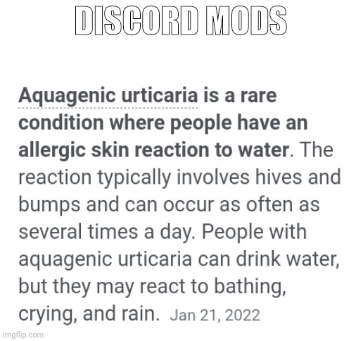 DISCORD MODS | made w/ Imgflip meme maker