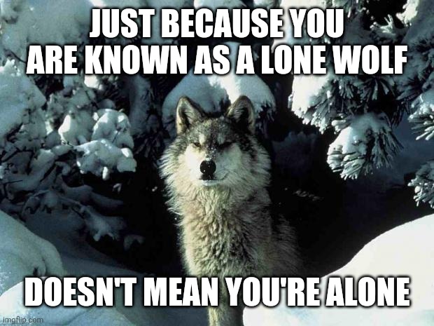 Wolf | JUST BECAUSE YOU ARE KNOWN AS A LONE WOLF; DOESN'T MEAN YOU'RE ALONE | image tagged in lonewolf | made w/ Imgflip meme maker