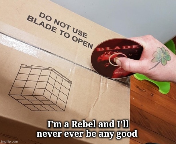 DVD's are good for something | I'm a Rebel and I'll never ever be any good | image tagged in movie,blade,sharp,be careful | made w/ Imgflip meme maker