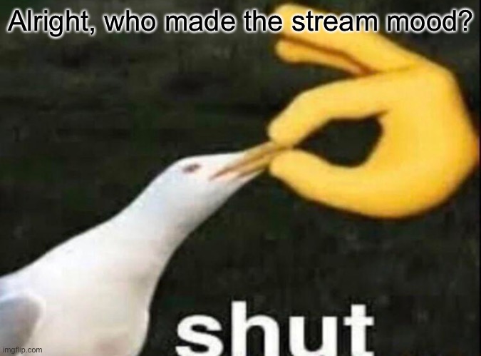 SHUT | Alright, who made the stream mood? | image tagged in shut | made w/ Imgflip meme maker