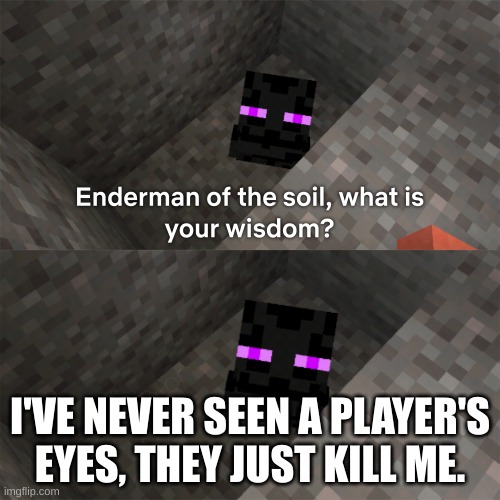 Enderman of the soil | I'VE NEVER SEEN A PLAYER'S EYES, THEY JUST KILL ME. | image tagged in enderman of the soil | made w/ Imgflip meme maker