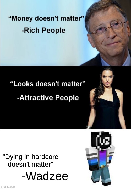 Money & Looks Don't Matter | "Dying in hardcore doesn't matter"; -Wadzee | image tagged in money looks don't matter | made w/ Imgflip meme maker