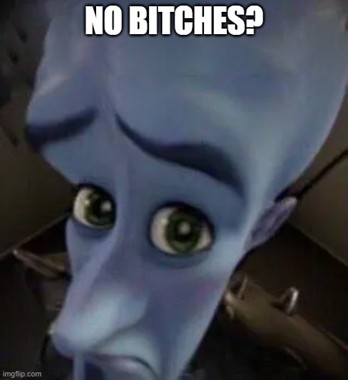 ??? | NO BITCHES? | image tagged in megamind no b | made w/ Imgflip meme maker