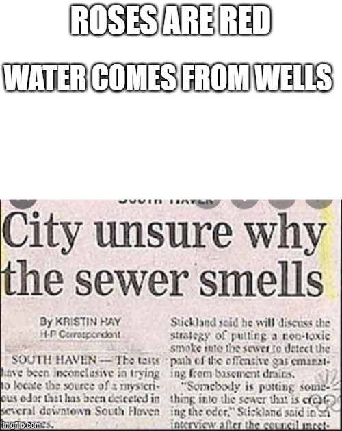 dumb city | ROSES ARE RED; WATER COMES FROM WELLS | image tagged in roses are red | made w/ Imgflip meme maker