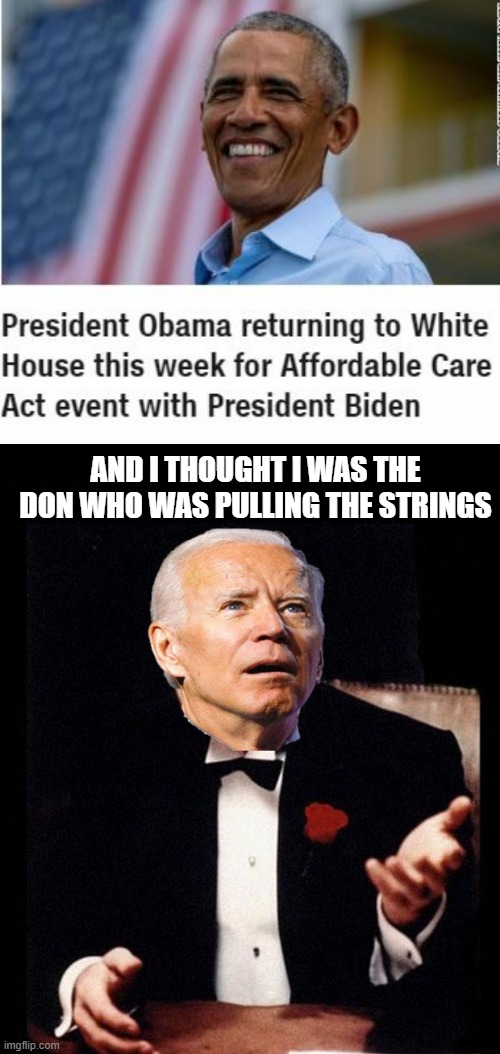 The Pres-Father | AND I THOUGHT I WAS THE DON WHO WAS PULLING THE STRINGS | image tagged in obama | made w/ Imgflip meme maker